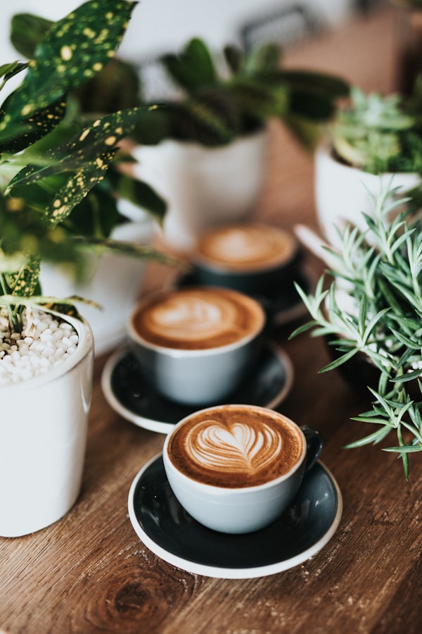 Ethiopian coffee farms and farmers in mountainous landscape