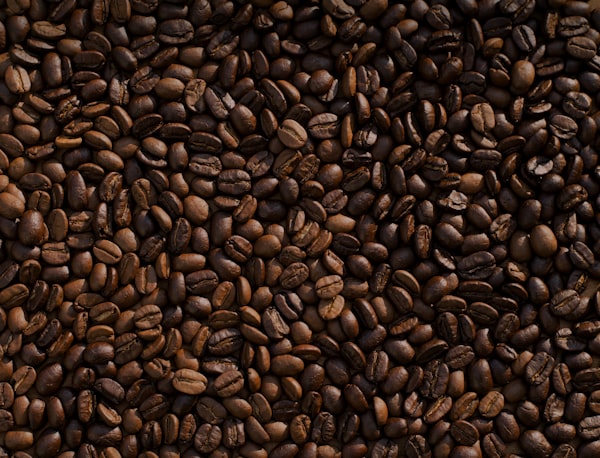 Ethiopian coffee farm landscape